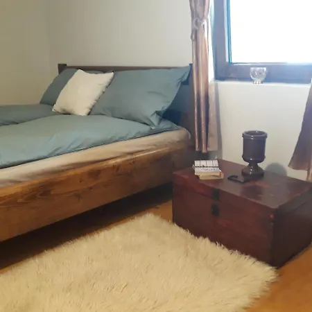 Casa De Peste Apa Holiday home Pesteana