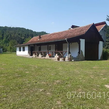 Holiday home Casa De Peste Apa *