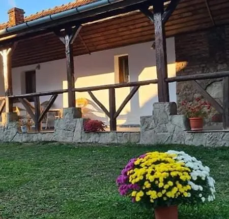 Holiday home Casa De Peste Apa