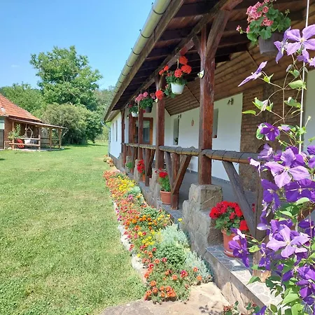 Holiday home Casa De Peste Apa